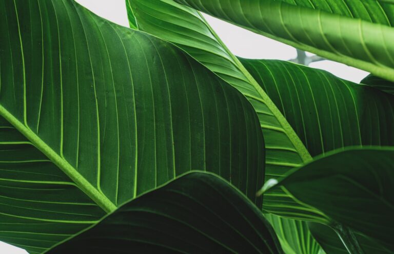 Quick 15-Minute Eco Kitchen Reset